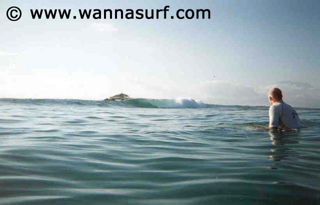 surf photo