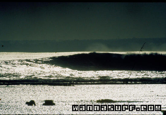 surf photo