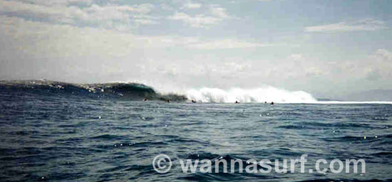 surf photo
