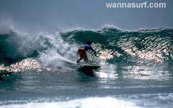 surf photo