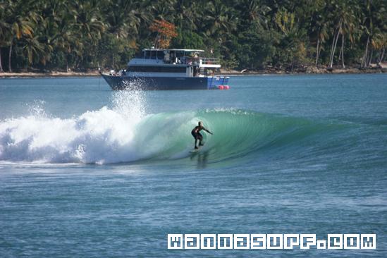 surf photo