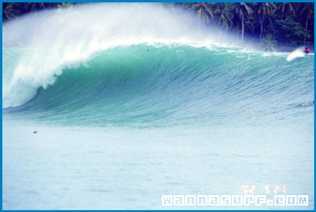 surf photo