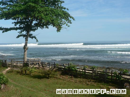 surf photo