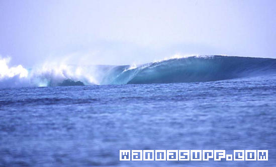 surf photo