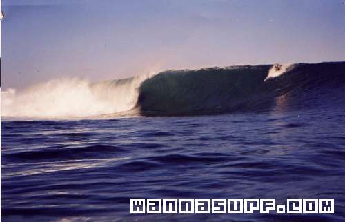 surf photo