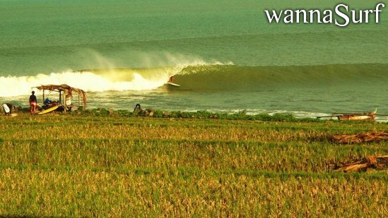 surf photo