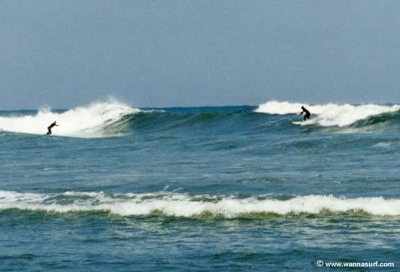 surf photo