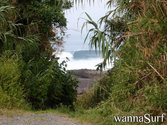 surf photo