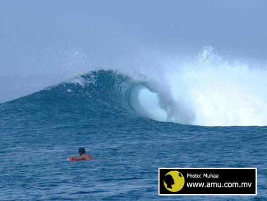 surf photo