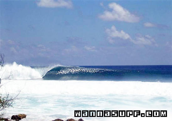 surf photo