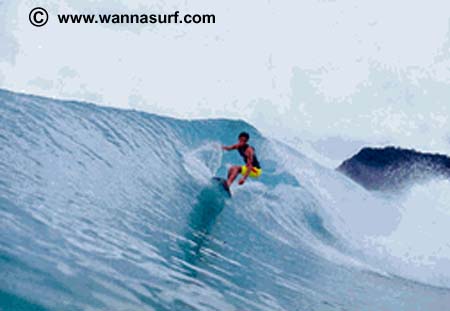 surf photo