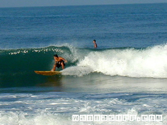 surf photo