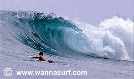 surf photo