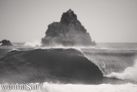 surf photo
