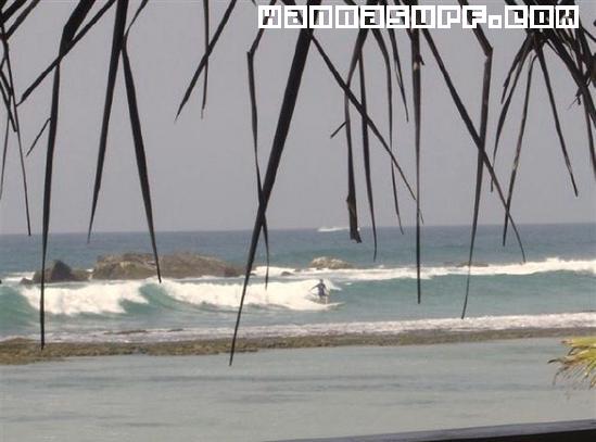 surf photo
