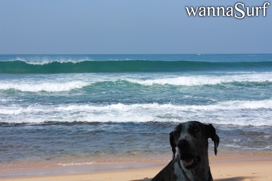 surf photo