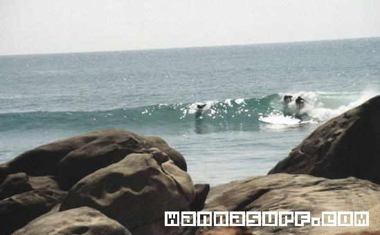 surf photo