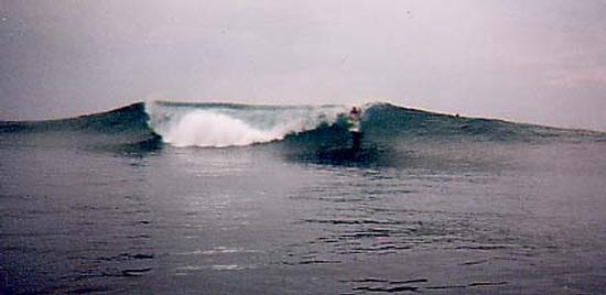surf photo