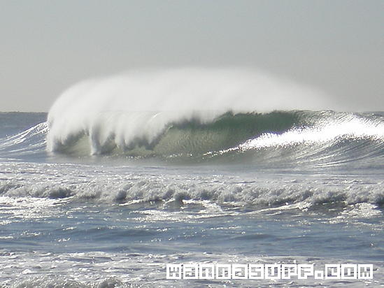 surf photo