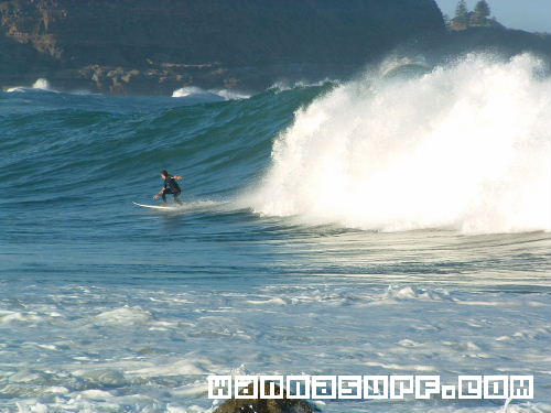 surf photo