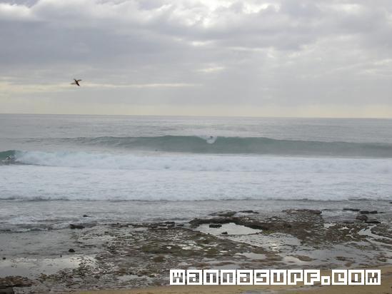 surf photo