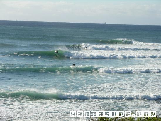 surf photo