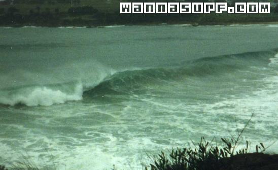 surf photo