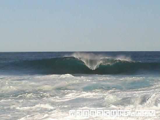 surf photo