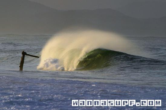 surf photo