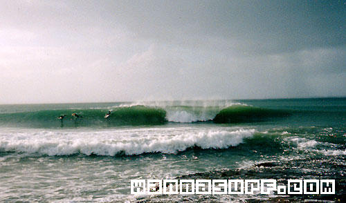 surf photo