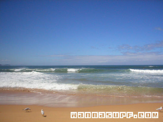 surf photo