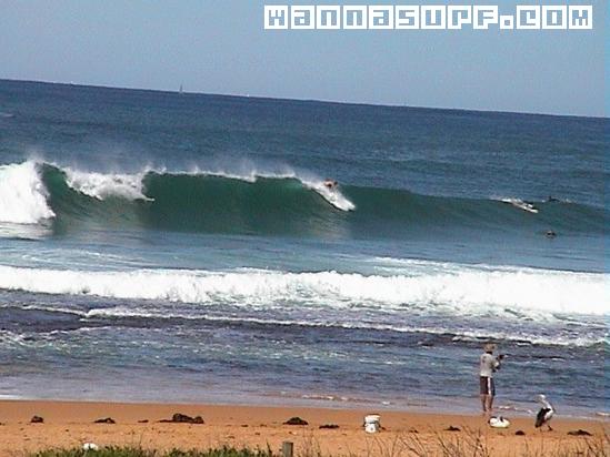 surf photo