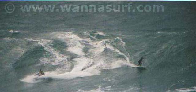 surf photo