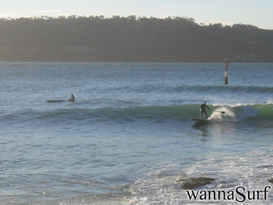 surf photo