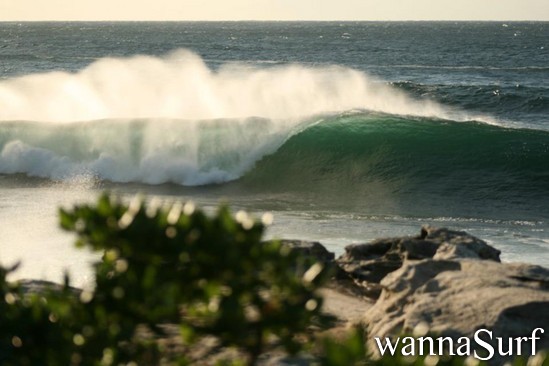 surf photo