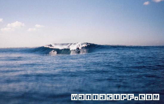 surf photo