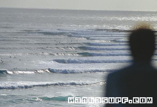surf photo