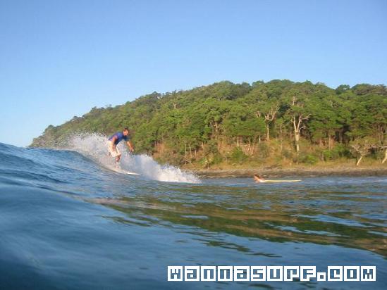surf photo