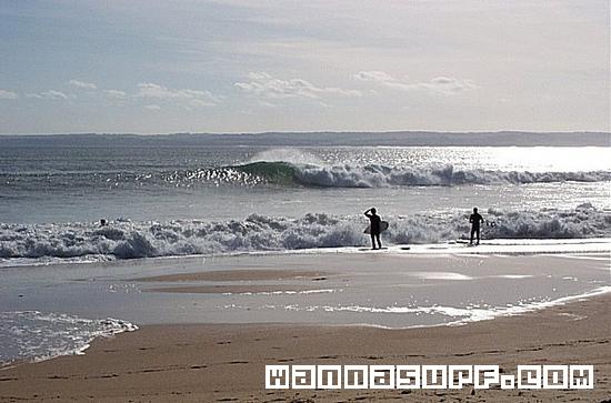 surf photo