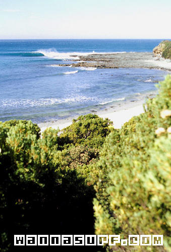 surf photo