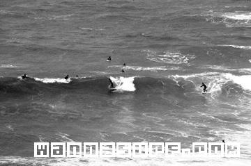 surf photo