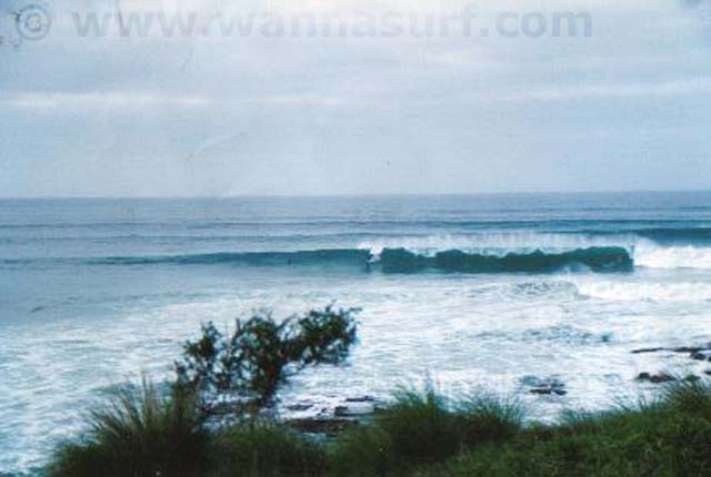 surf photo