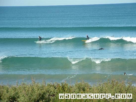 surf photo