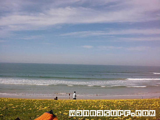 surf photo