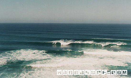 Easter Reef Surf