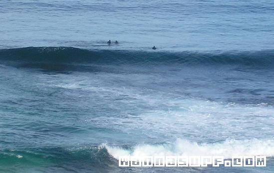 surf photo