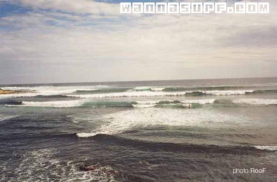 surf photo