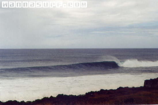 surf photo