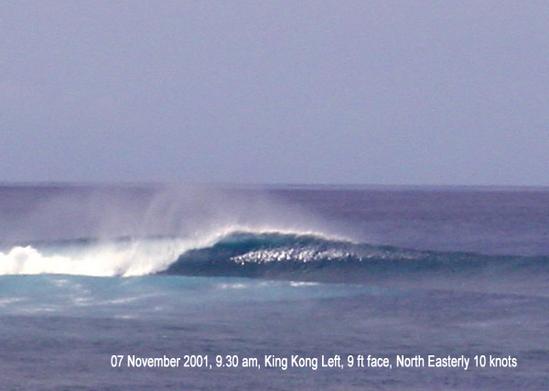 surf photo