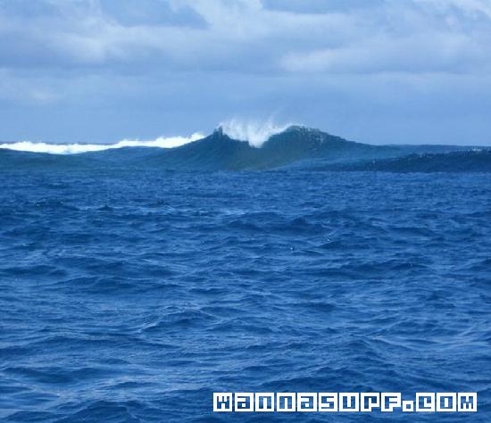 Easter Reef Surf
